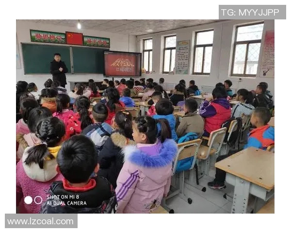 韩国拳坛的姚明崛起之路与未来发展展望